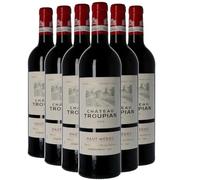 Château Troupian - Rouge 2019 - Haut-Médoc - Vin Rouge de Bordeaux (6x75cl)