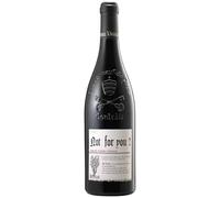 Châteauneuf-du-Pape Not For You MAGNUM - Rouge 2019 - Domaine Pierre Usseglio - Vin Rouge de la Vallée du Rhône (150cl)