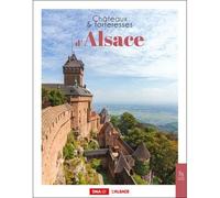 Châteaux et forteresses d'Alsace - Collectif - Ici en région - broché - Guide