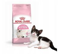 Chaton FHN 2 kg