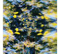 Chaton Laveur – Labyrinthe – Vinyle 12" (couleur splatter)