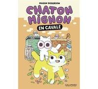 Chaton Mignon Mason Dickerson (Auteur), Fanny Soubiran (Traduction)