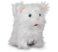 Chaton mignon Multicolore G