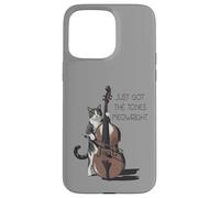 Chaton violoncelliste Classique de contrebasse Coque pour iPhone 15 Pro Max