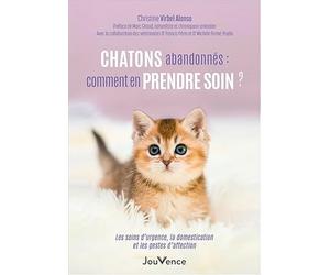 Chatons abandonnés : comment en prendre soin ?: Les soins d'urgence, la domestication et les gestes d'affection