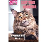 Chatons d'amours Calendrier 2026 - Collectif - Florentin Eds - relié - Calendrier