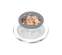 Chatons Mignons, câlins, Amoureux des Chats, amitié pour PopSockets PopGrip pour MagSafe
