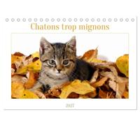 Chatons trop mignons (Calendrier de bureau 2027 DIN A5 vertical), CALVENDO calendrier mensuel: Les premières semaines des chatons