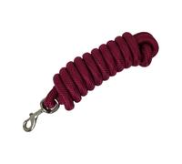 Chatonshen Corde de Chevaux Laisse Longe Corde Nylon Équipement Attache Licol Harnais Matériau Résistant Sécurisant Suitable pour Promenades Travail Au Sol, Rouge Foncé