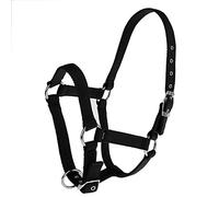 Chatonshen Licol pour Cheval Réglable avec Bride Solide en Nylon Tissé Muserolle Confortable et Résistante Filet de Tête Stable D'Équitation Adapté à La, Noir, m