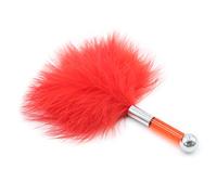 Chatouiller sexy bdsm sexy Feather stick Sex torture Tool teaser Feather stick Bed Sensory Toy (Red)