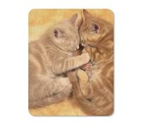 Chats Adorables Mousepad Durable Mouse Pad Petit Tapis De Souris pour Voyage Maison Bureau 25X30Cm