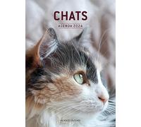 Chats - Agenda 2024