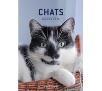 Chats - Agenda 2026
