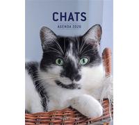 Chats - Agenda 2026 - Collectif - Modus Vivendi Eds - broché - Agenda