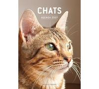 Chats - Agenda 2027