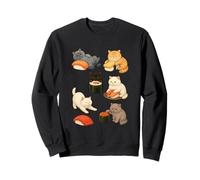 Chats britanniques à poil court avec de jolis rouleaux de sushi Sweatshirt