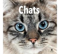 Chats - Calendrier 2022 - Collectif - Place Des Victoires Eds - broché - Calendrier