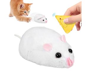 Chats de à Distance - Ce Jouet Externe pour Chat avec télécommande intérieure pour Chaton Ce Jouet Externe pour Chat Que Nous utilisé est Conforme à Un protocole de sécurité Strict