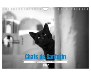Chats de Santorin - Les princes d'Oia en noir et blanc (Calendrier mural 2027 DIN A4 vertical), CALVENDO calendrier mensuel: Quelques portraits de chats croisés au hasard des ruelles d'Oia.