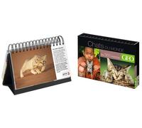 Chats du monde en 365 jours