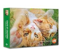 Chats et chatons - Agenda - Calendrier - 2027
