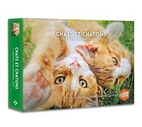 Chats et chatons - Agenda - Calendrier - 2027 - - Collectif - Hugo Image - Agenda