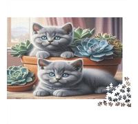 Chats et Plantes succulentes Puzzles 1000 Pièces Papier recyclé pour Adultes Puzzle pour Adultes Jeu Stimulant Excellente idée Cadeau pour Relaxation pour Hommes et Femmes 70x50cm/1000pcs