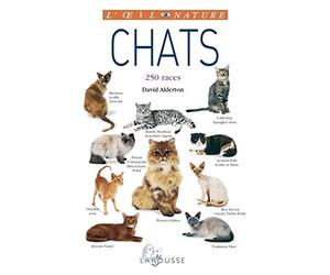 Chats - nouvelle présentation