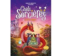 Charlotte Grossetête – Chats & sorcières : Le puits magique – Tome 3 – Cartonné – Fleurus