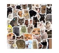 Chats Stickers, 100 Pièces Drôles Mèmes de Chats Autocollants, Imperméable Vinyle Mignons Chat Autocollants, Animaux Sticker Graffiti Créatifs, Esthétiques Gommettes pour Scrapbooking