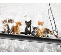 Chats sur poutre d'acier - Mini-Poster - New York Kittens + 1 Ü-Poster de taille 61x91,5cm