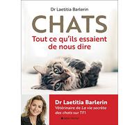Chats: Tout ce qu'ils essaient de nous dire