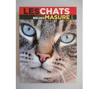 CHATS VU PAR BRUNO MASURE