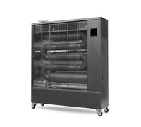 Chauffage au fioul sans odeur - VELTRON - DHOE-250F