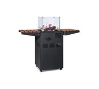 Chauffage de terrasse á gaz - blumfeldt Flagranti Plus - 8kW - Pour bouteilles de butane / propane G