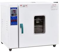 Chauffage électrique à température constante - Four de laboratoire silencieux à température constante - Four en acier inoxydable - Affichage numérique intelligent - Séchoir industriel (taille : 136 L)