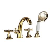 Chauffe de baignoire de pomme de douche