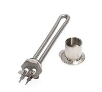 Chauffe-eau solaire à Immersion DN25 304SUS, 1 pouce, avec écrou/filetage, basse tension 12V/24V/48V, 300W/600W, élément chauffant électrique, 1 pièce(WHITE,1 INCH NPT 48V_600W 200MM 304SUS)