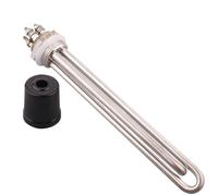 Chauffe-eau tubulaire électrique 220 V DN25/1 pouce, élément chauffant en acier inoxydable 304, 1000 W(Heater only)