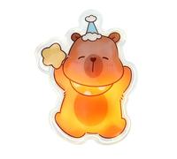 Chauffe-Mains réutilisables | Auto-Chauffant réutilisable - Chauffe-Mains Portable de Poche pour Femmes, par Temps Froid, Camping, Ski, Cyclisme, Sport, Maison, Bureau, école