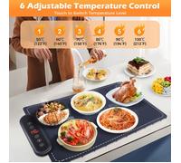 Chauffe-plats électrique, plateau chauffant portable avec 24 minuteries, pour buffets, dîners de famille, 60 x 37,8 x 1,8 cm