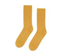 Chaussettes Colorful Standard Classic Organic burned yellow Jaune 41/46