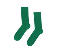 Chaussettes Colorful Standard Classic Organic Kelly Green Vert TU