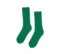 Chaussettes Colorful Standard Kelly Green Vert 36/40
