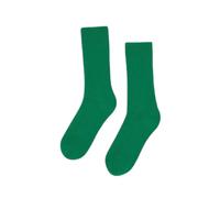 Chaussettes Colorful Standard Kelly Green Vert 41/46