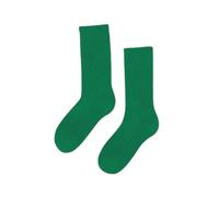 Chaussettes Colorful Standard Organic Active Kelly Green Vert 36/40