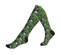 Chaussettes De Compression Rainette Blanche Australienne Assise Sur Une Branche Chaussettes Hautes Classique Socquettes Confort Work Socks Pour Camping Randonnée Cyclisme 50CM