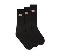 Chaussettes et collants Dickies Valley Grove pour Adulte 35 - 38 Noir