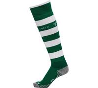 Chaussettes Domicile Allemagne 2021 Vert 32/35 Unisex